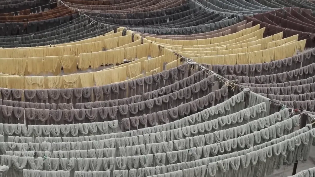 Rows of dyed yarn hanging in long arcs to dry.