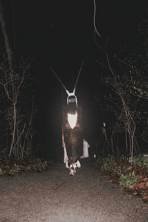A horned figure walking down a dark path toward the camera.